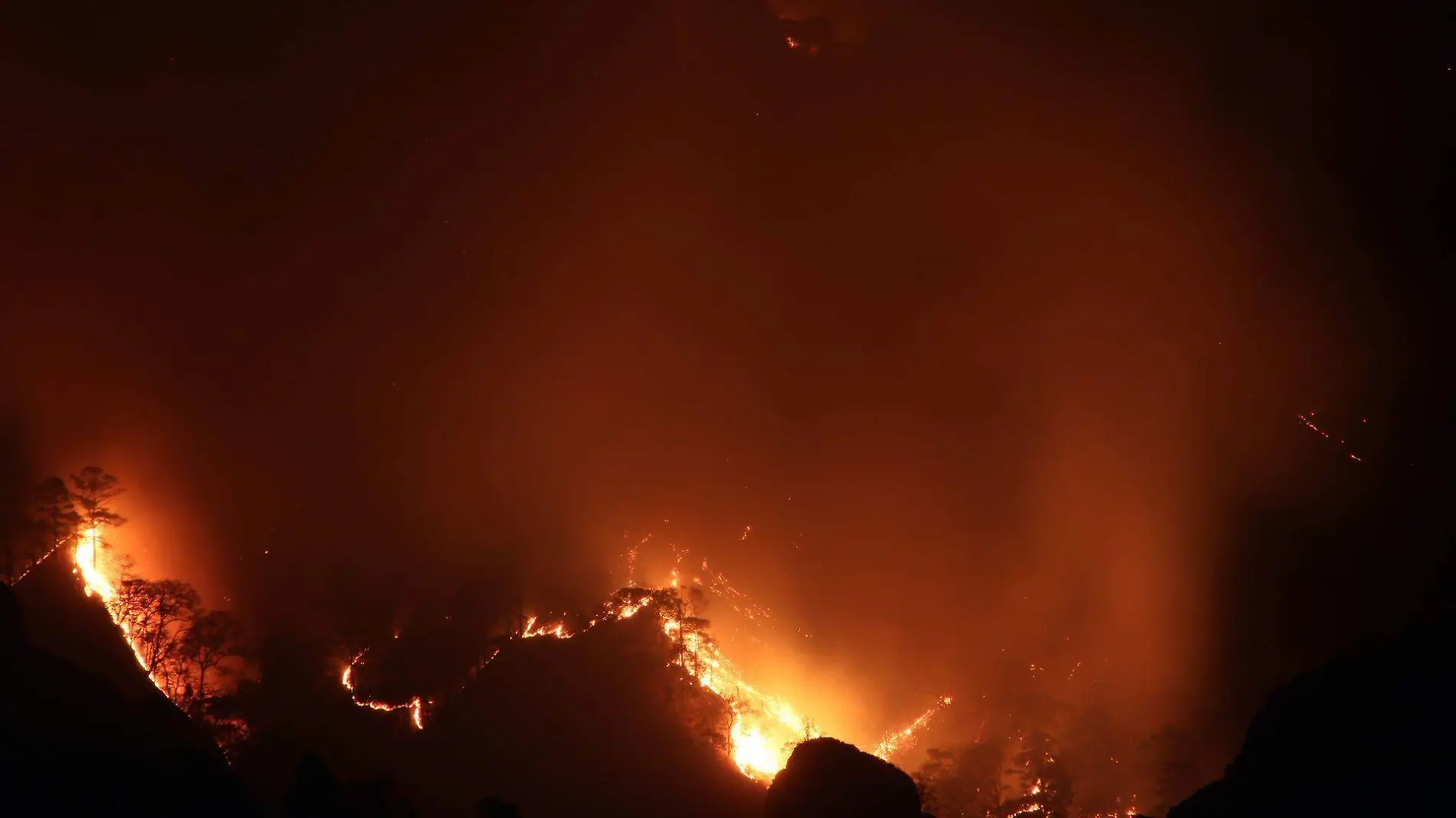 Incendio Forestal en Santo Domingo Tepoztlán